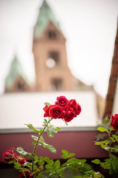 Gasthaus zum Halbmond Speyer Gasthaus zum Halbmond Speyer